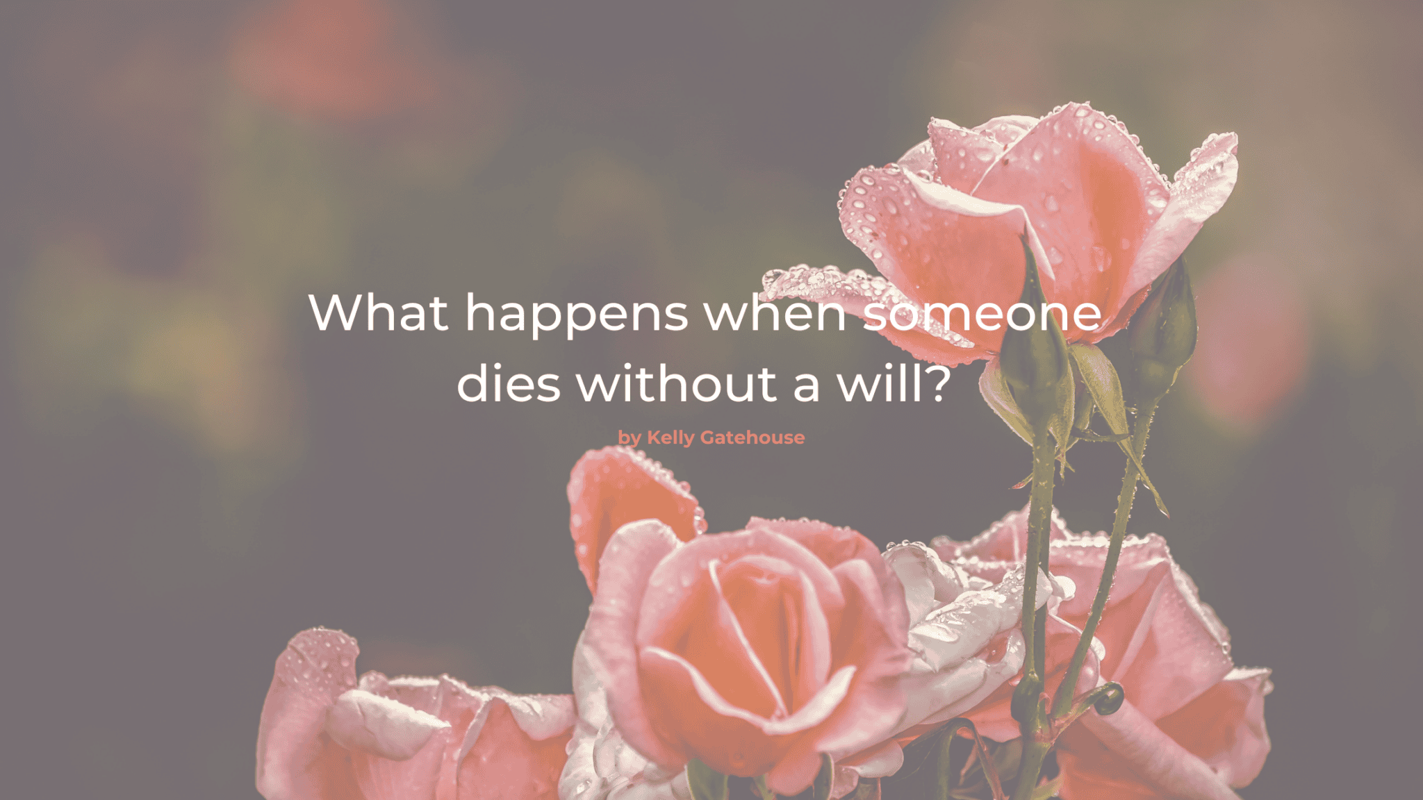 what-happens-when-someone-dies-without-a-will-nurture-law